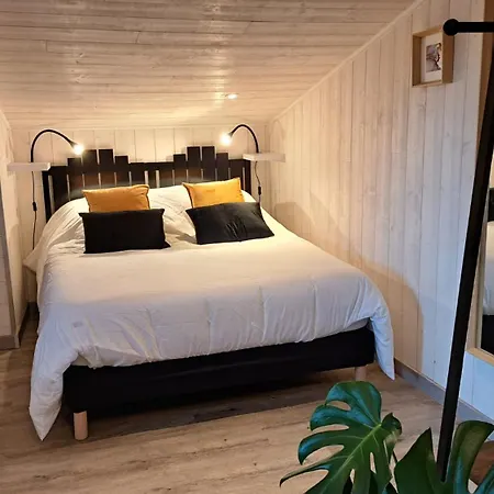 Studio-centre Apartment