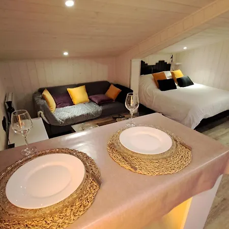 Studio-centre Apartment