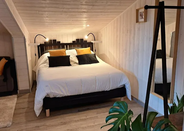 Studio-centre Appartement