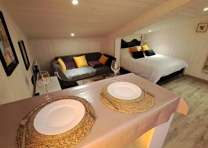 Studio-centre Appartement